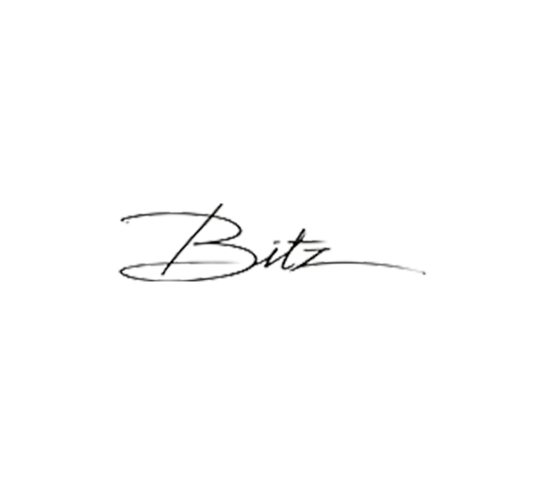 bitz logo
